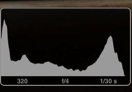 Capture Pilot 1.4 Histogram