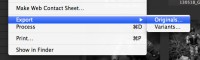 File > Export > Originals