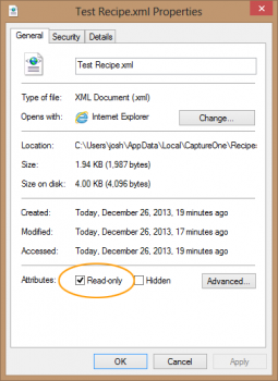 Windows Read-Only File