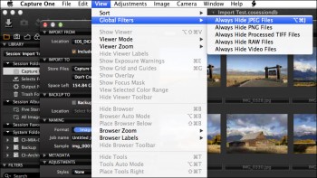 Capture One Pro View Menu