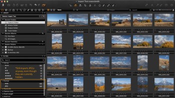 Capture One Pro Import All Results