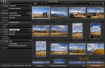 Capture One Pro Import Selected