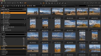 Capture One Pro Import Selected Results