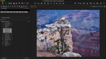 Capture One Pro 9 - Additive Keywords