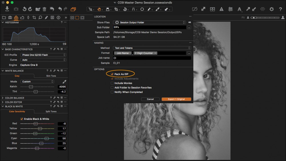 Capture One 9 - Export EIP