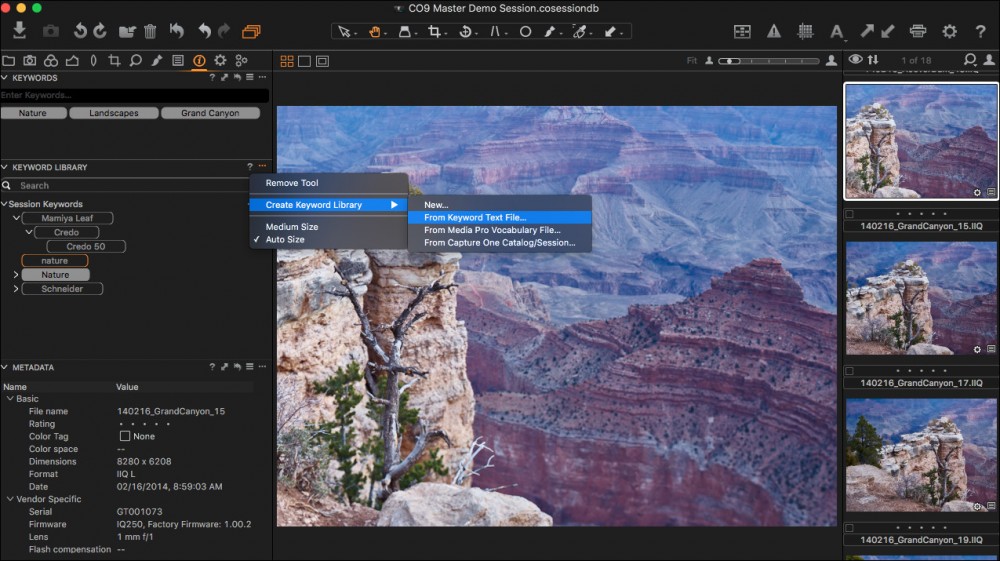 Capture One Pro 9 - Keyword Libraries