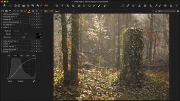 Capture One Pro 9 - Curves on Layers