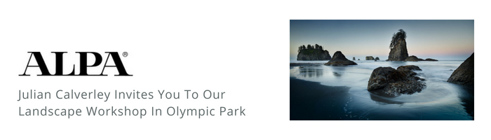 Alpa Landscape workshop in Olympic Park